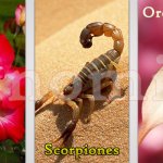 Binomial Nomenclature For Identifying Living Beings
