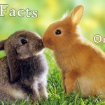 19 Science Facts About Living Organisms