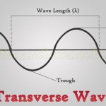 2 Types of Waves by Particle Movement