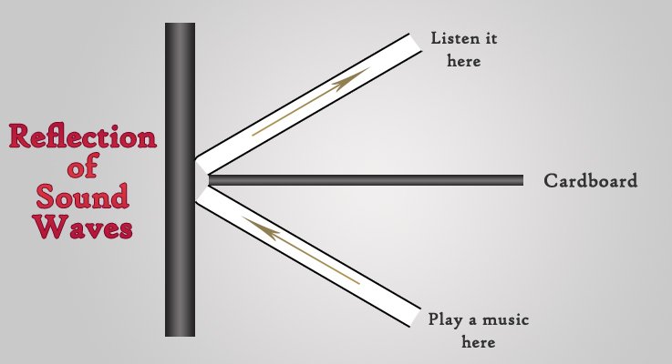 Reflection of Sound Test