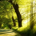 Vital Factors Required For Living Organisms