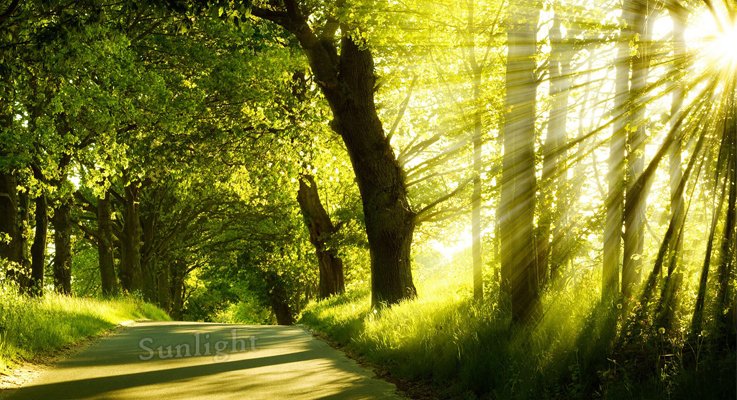 Vital Factors Required For Living Organisms